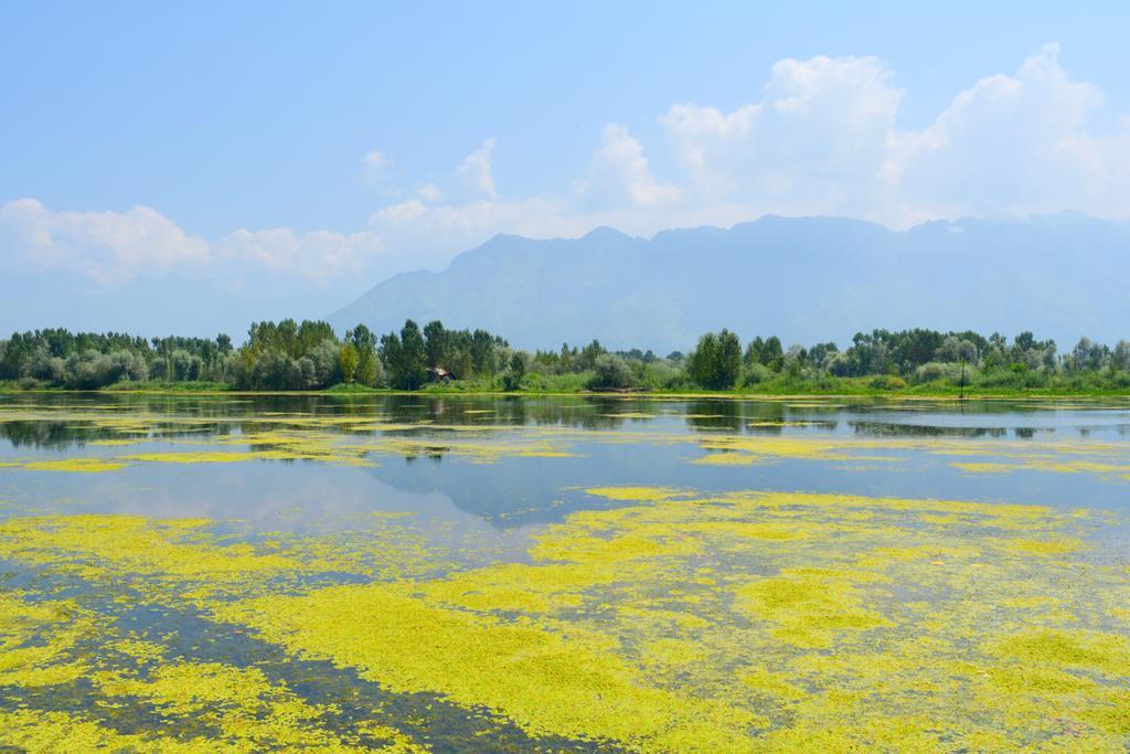 Kings Houseboats Hotel Srinagar  Bagian luar foto