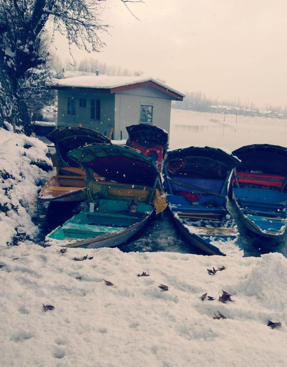 Kings Houseboats Hotel Srinagar  Bagian luar foto