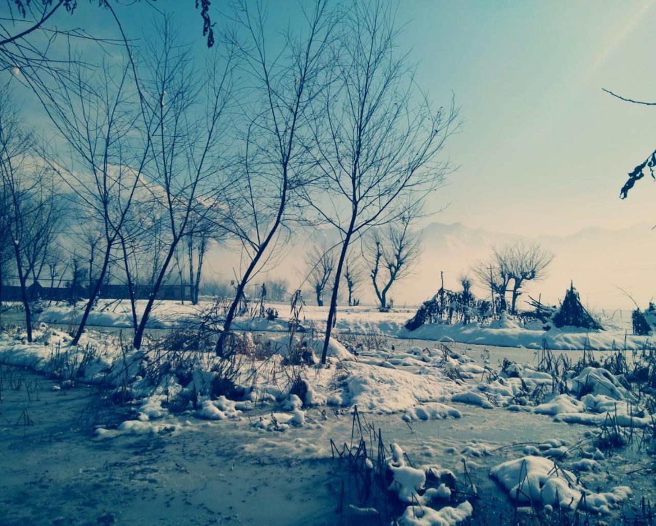 Kings Houseboats Hotel Srinagar  Bagian luar foto